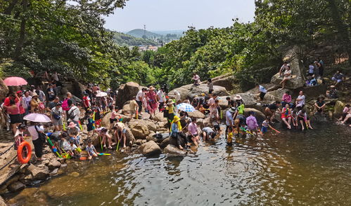 連云港市云臺山風景名勝區 精細化園區管理服務，繪就山海文旅新畫卷
